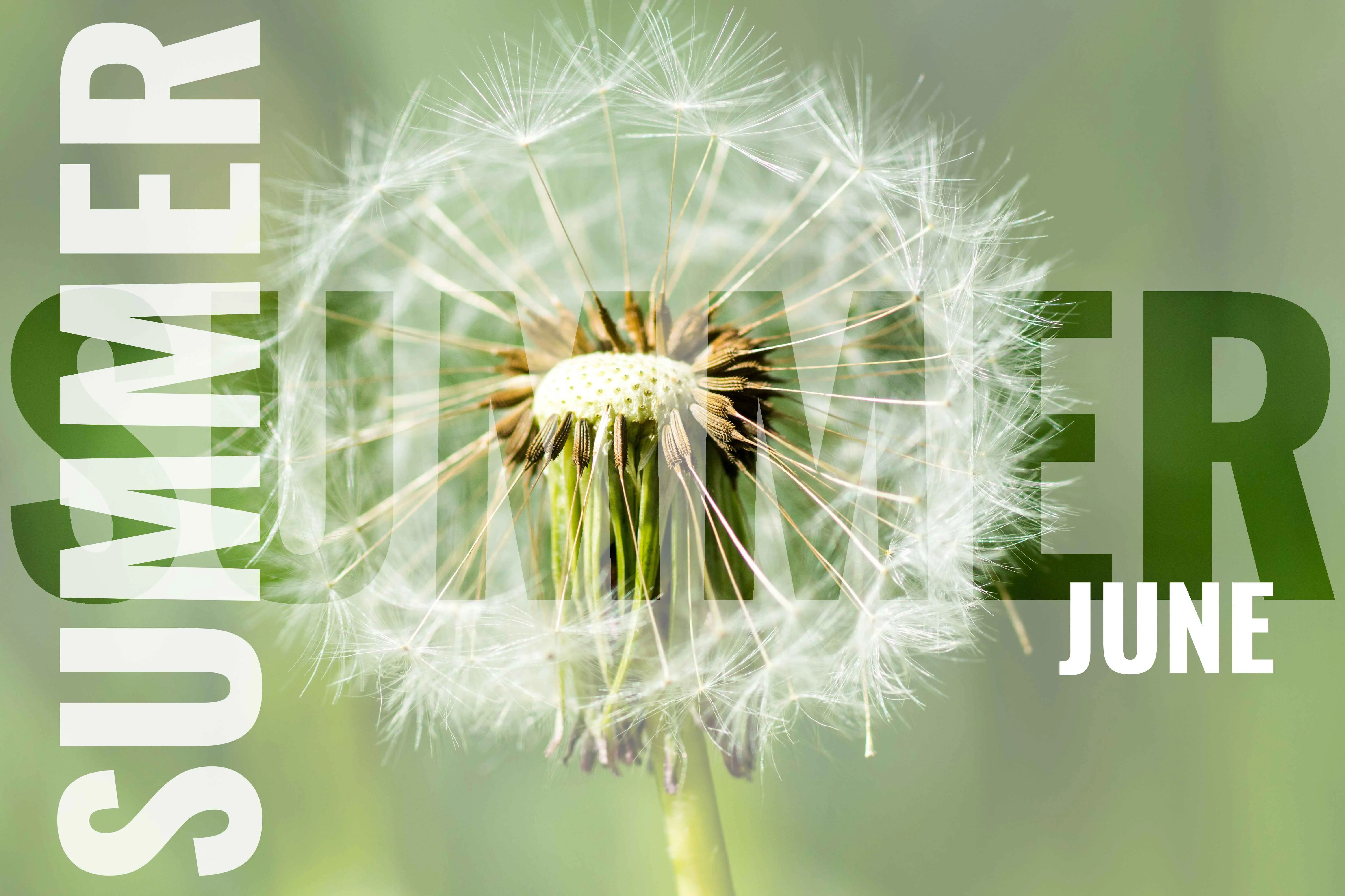 What's On in Yorkshire in June