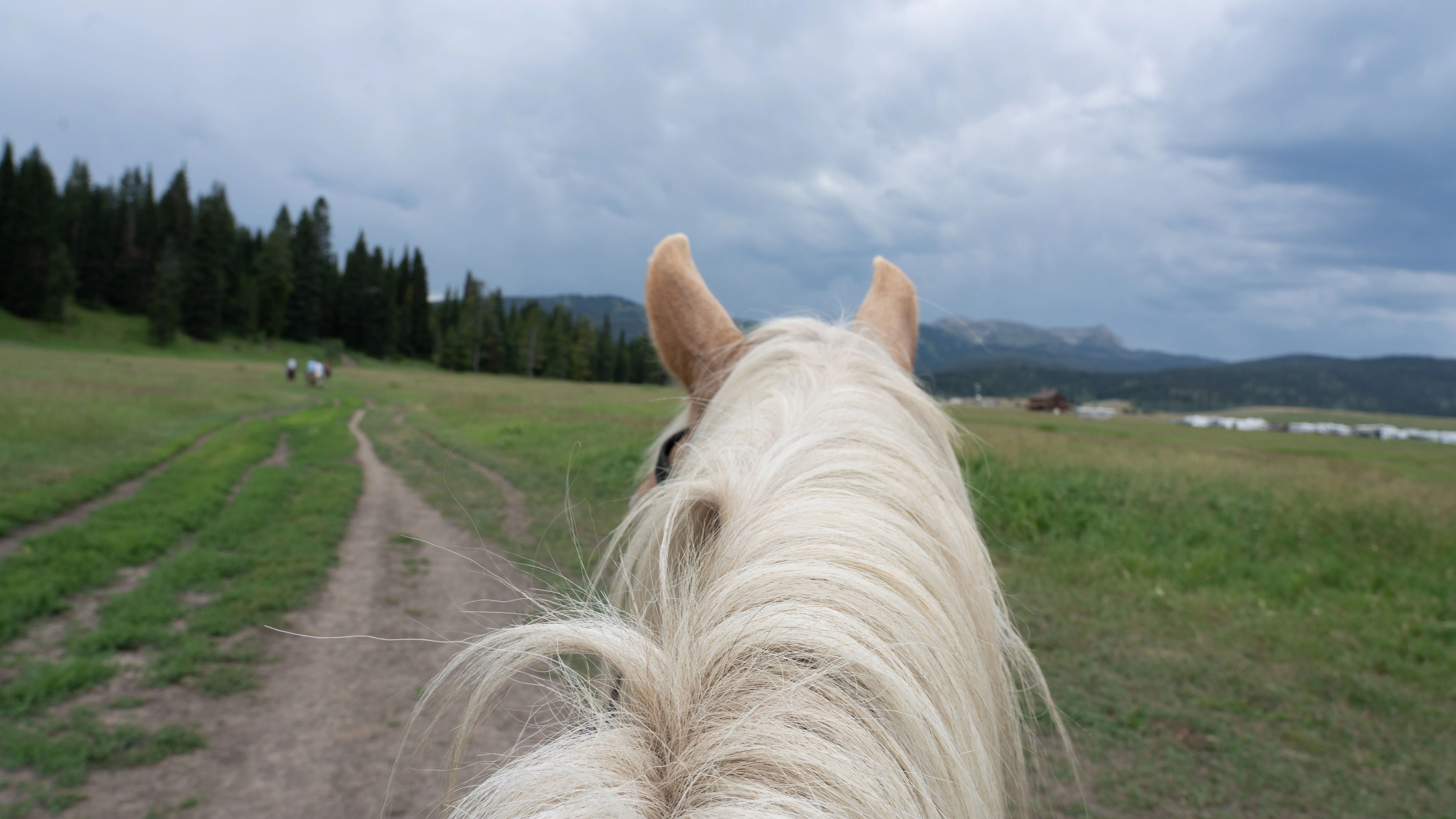 Horse Riding Yorkshire