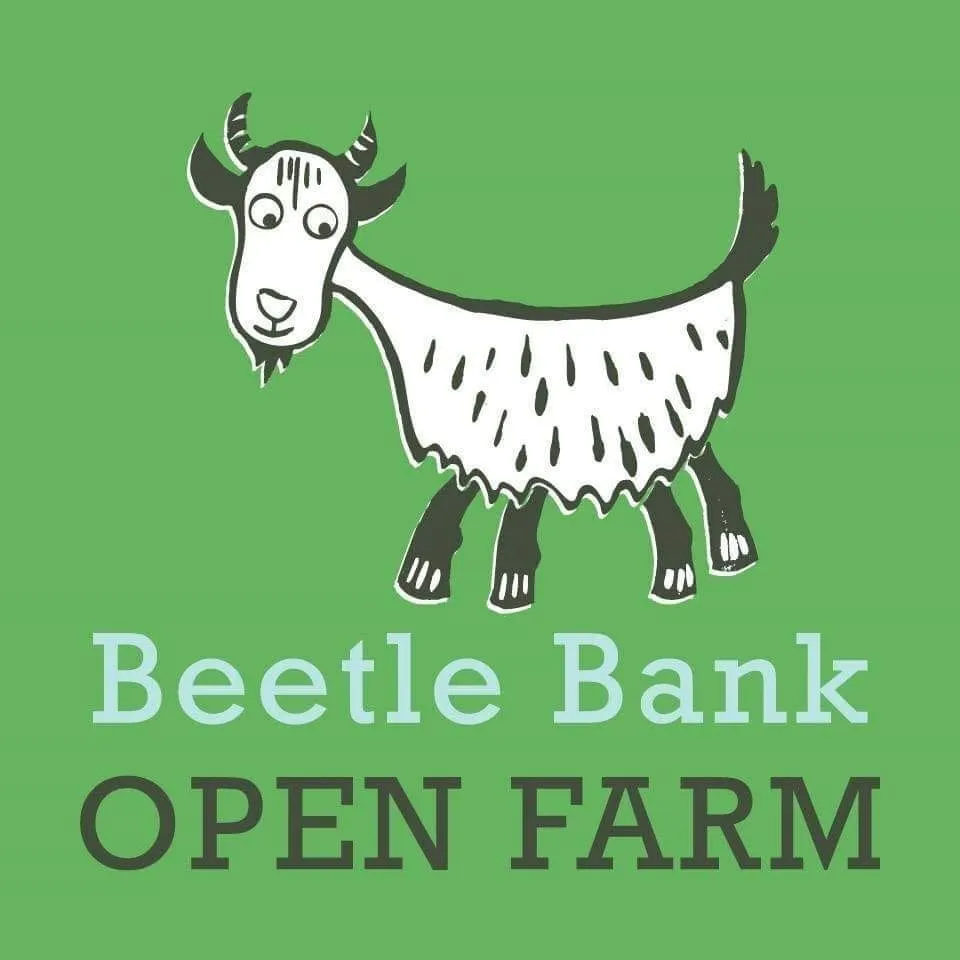 Beetle Bank Open Farm