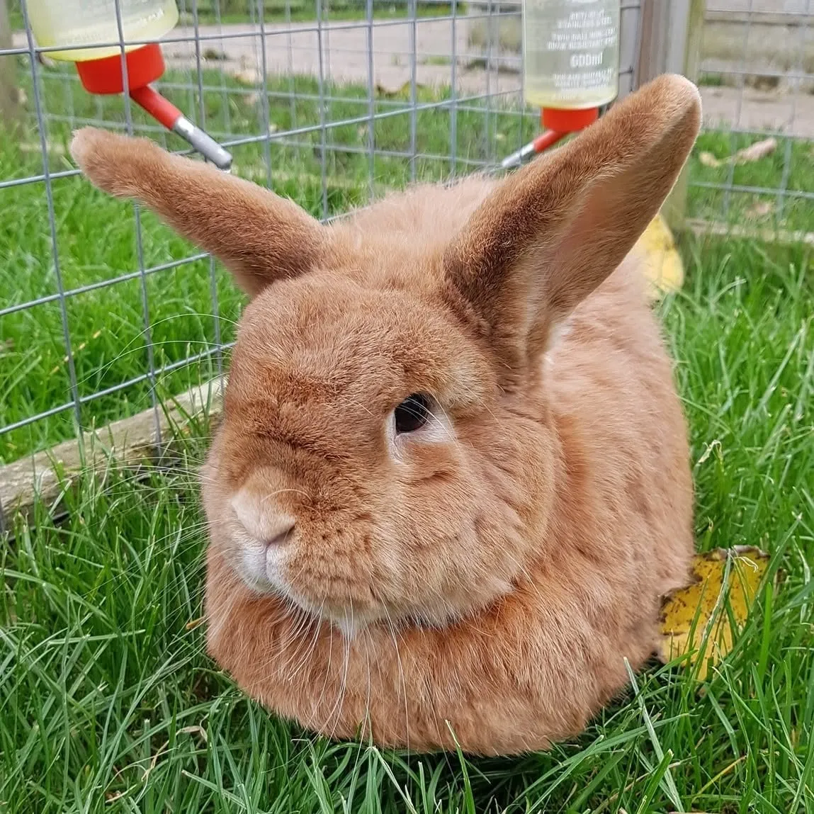 East Hull Community Farm