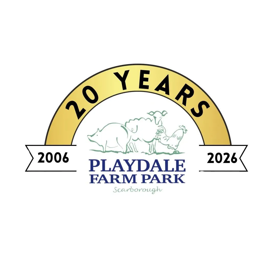 Playdale Farm Park