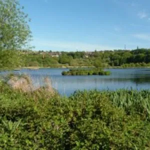 Yorkshire Nature Reserves