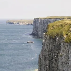 View across the chalk cliffs at Bempton, home to thousands of seabirds during the summer season