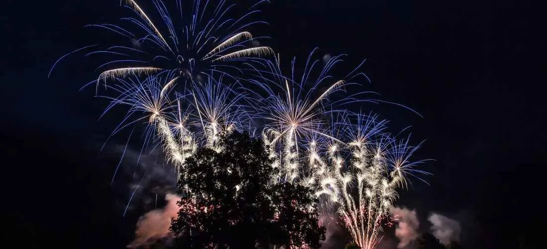 Fireworks lighting up the sky at Newby Hall Fireworks Championship event in August