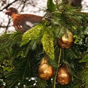 Festive wooden installation along the Strid Wood woodland trail at Bolton Abbey