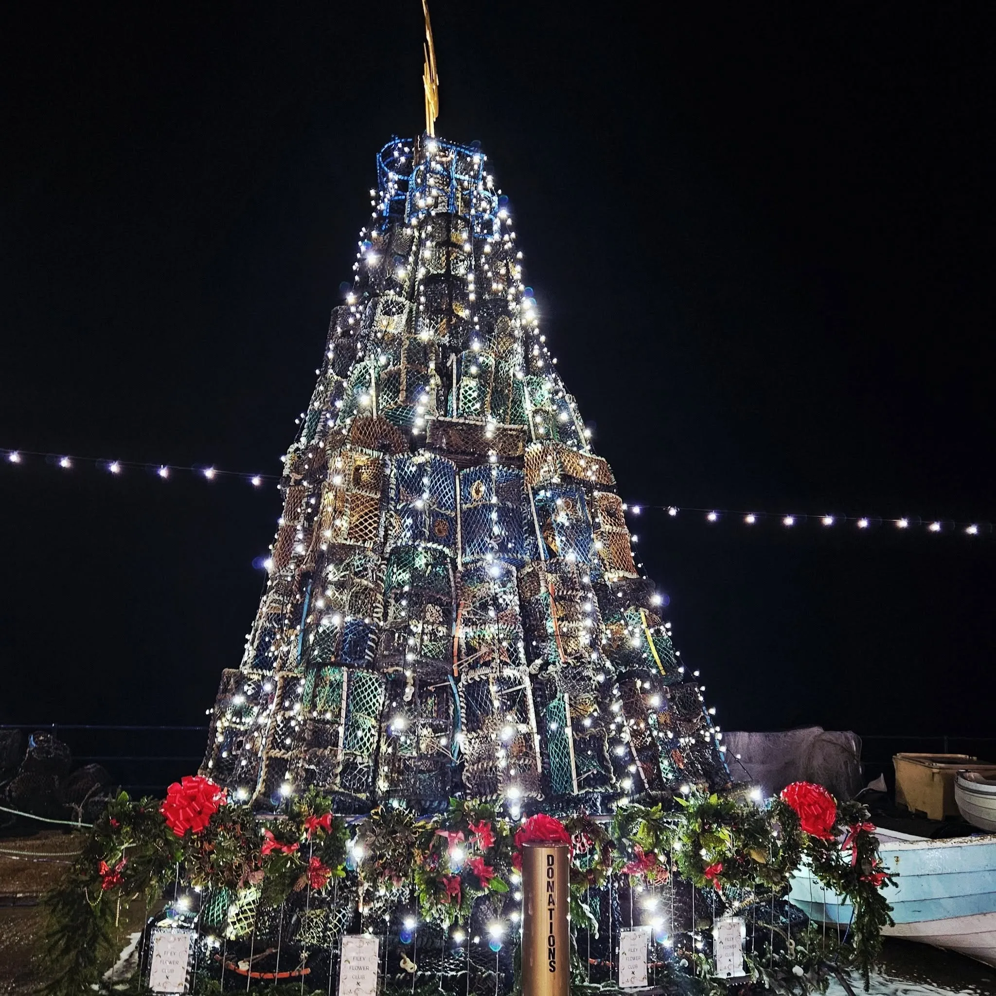 Filey Fishtive Tree illuminated on the seafront for the Christmas lights switch-on