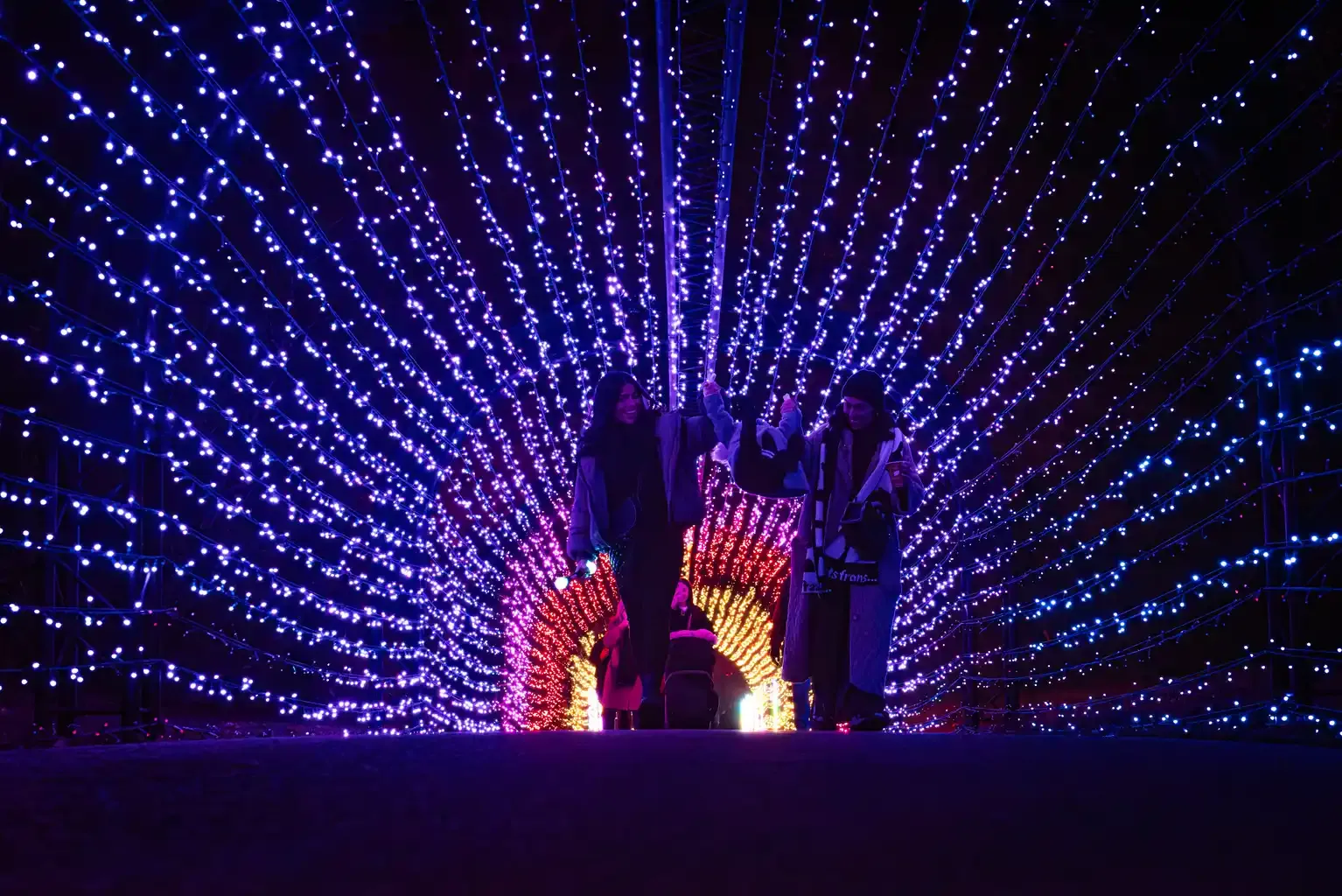 Dazzling illuminated light trail displays at Mission Out in Tingley Garden Centre
