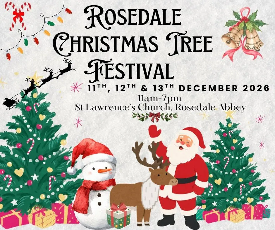 Beautifully decorated and illuminated Christmas trees on display during the Rosedale Christmas Tree Festival