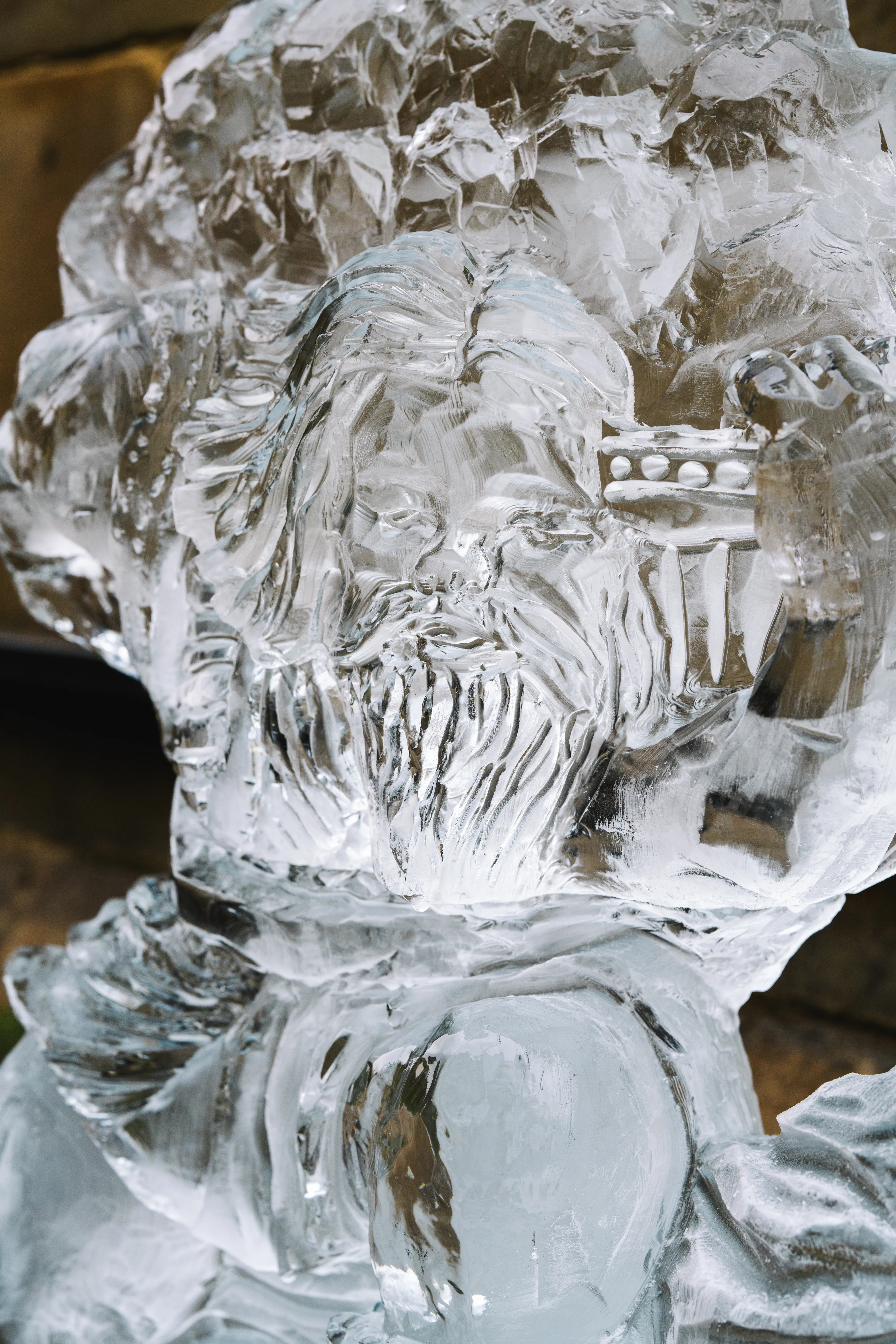 Close up of detil on one of the ice scultptures at York Ice Trail