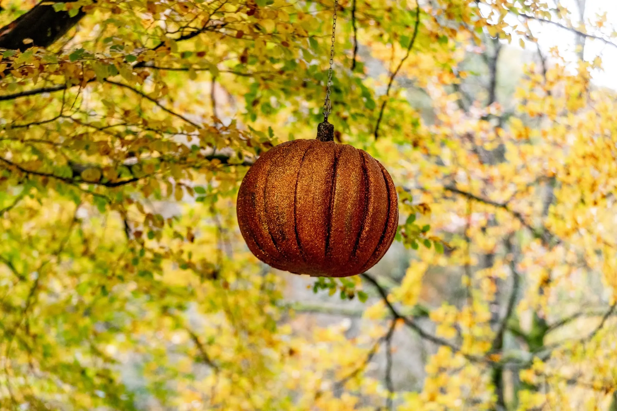 Giant painted pumpkin decor along autumn woodland paths in Strid Wood at Bolton Abbey