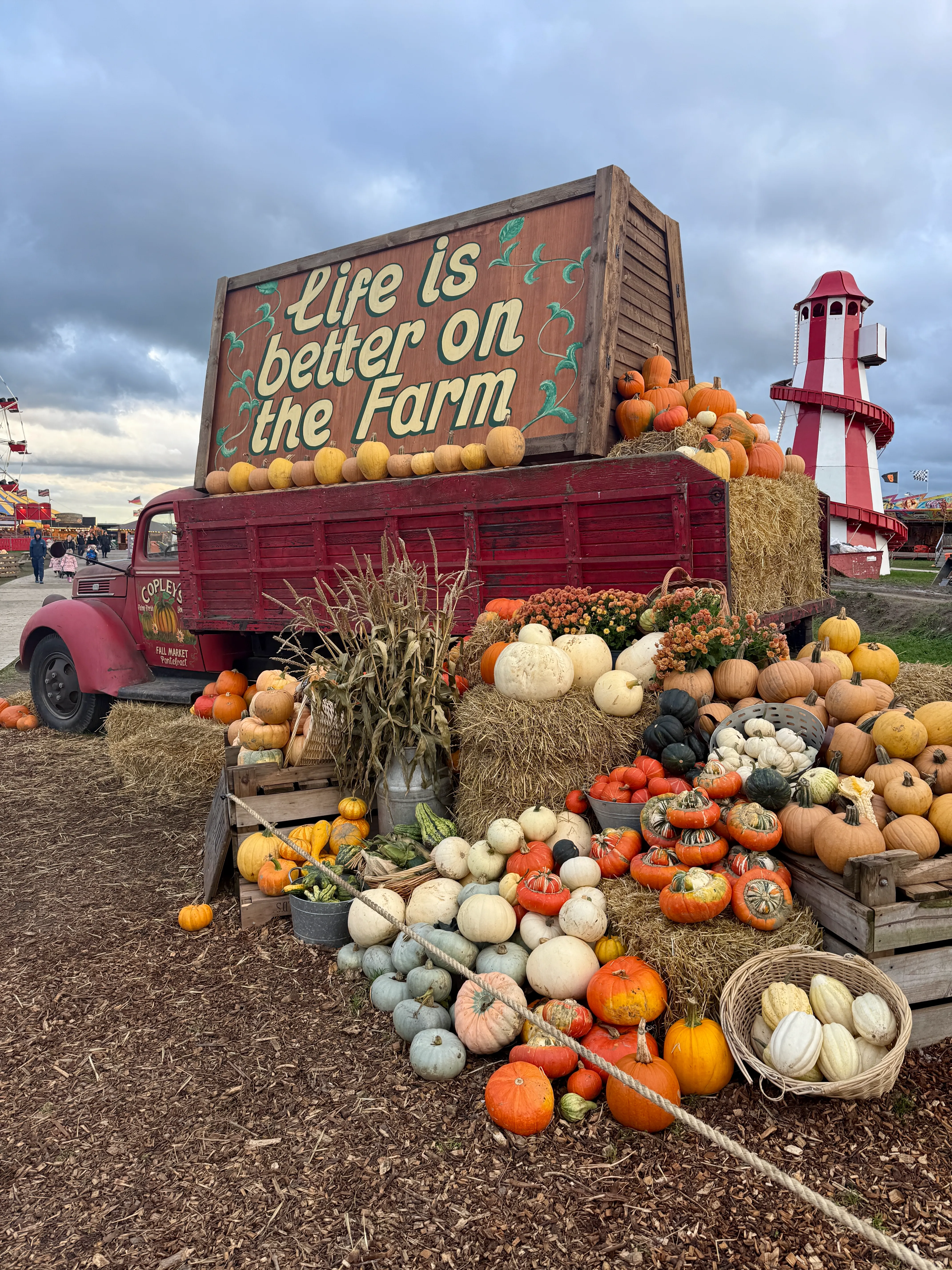 Wide variety of pumkins available at the Farmer Copleys Pumpkin Festival