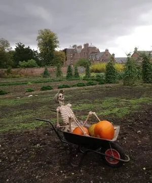 Crowes Wood Halloween Trail Kiplin Hall