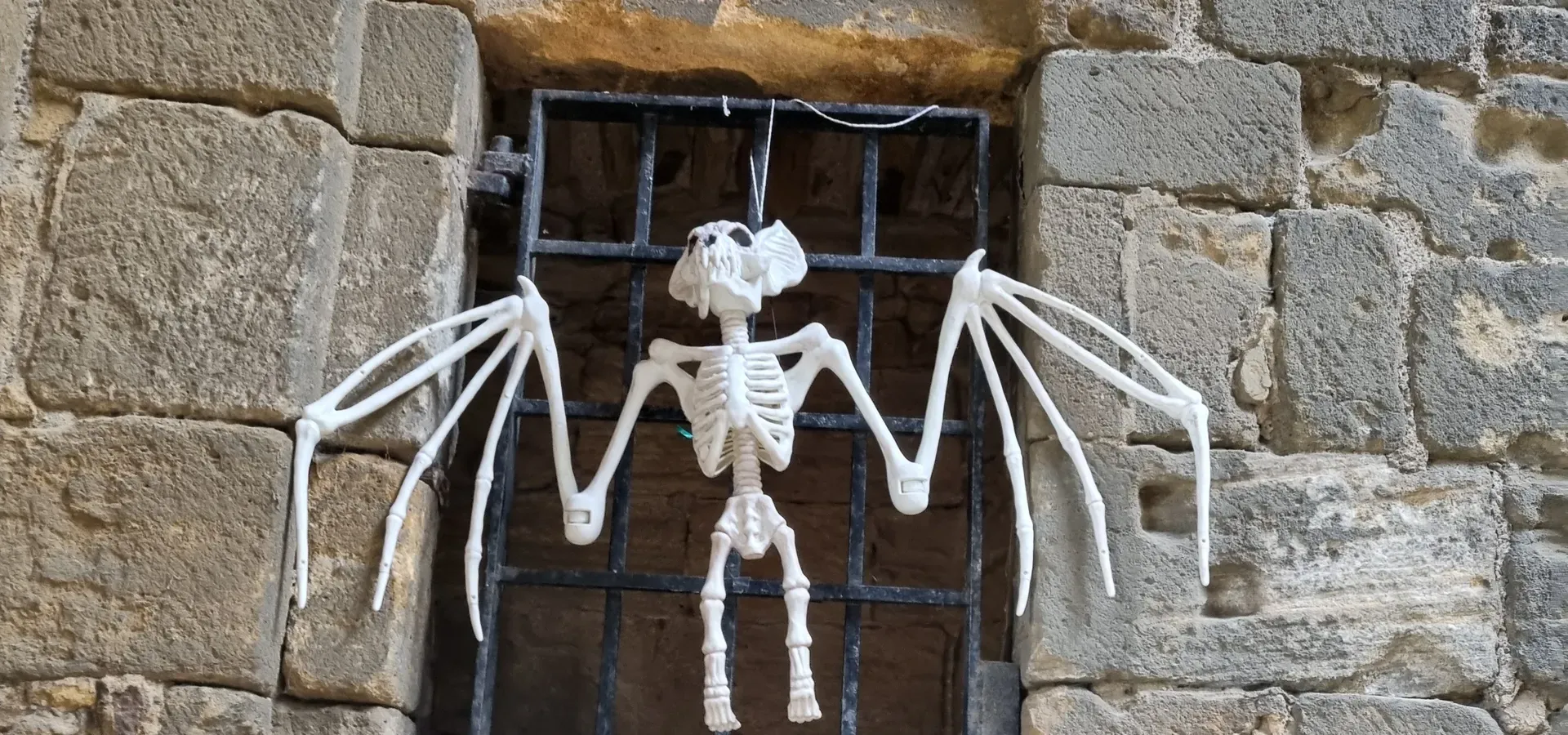 Nocturnal Creatures Trail Kirkstall Abbey