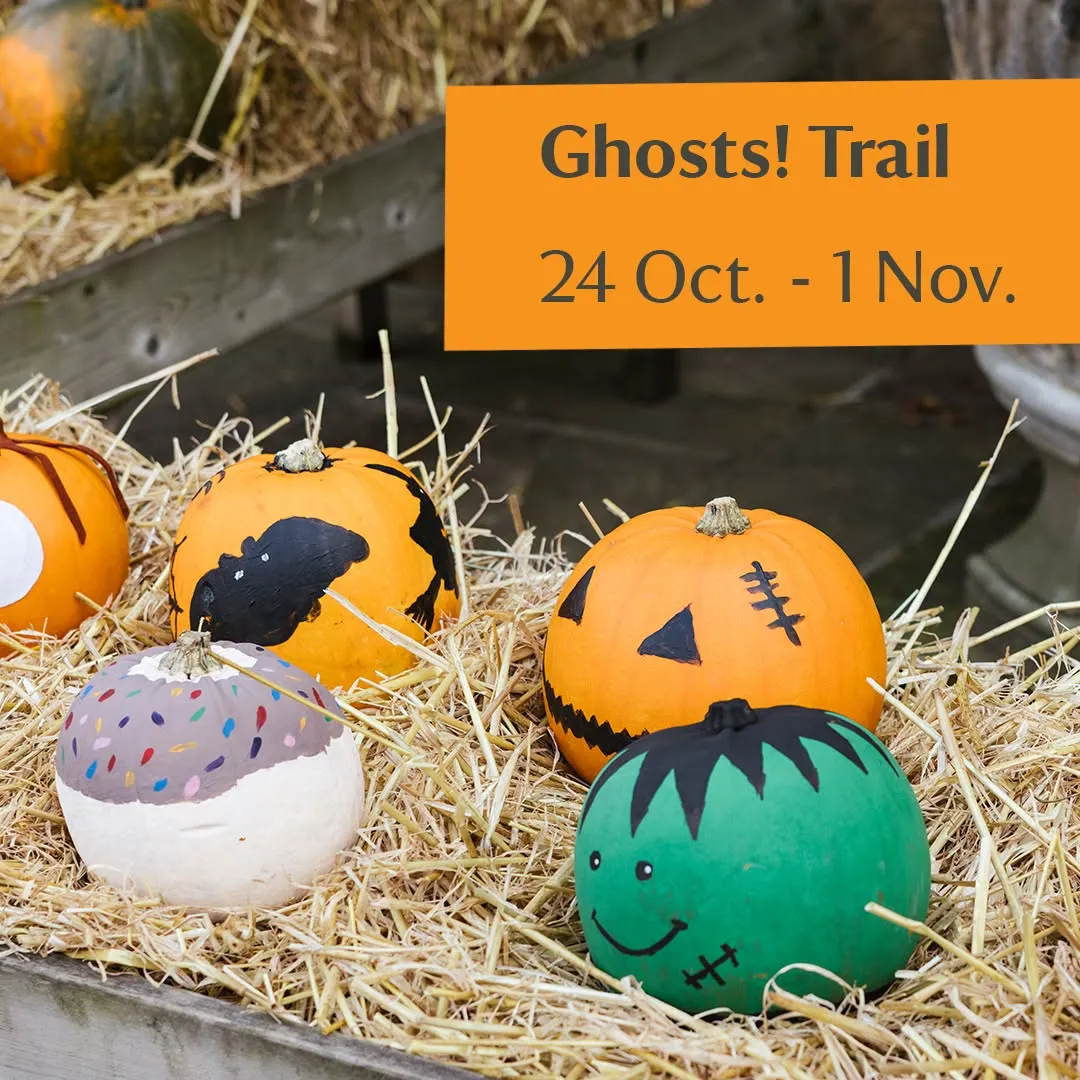 Ghosts Trail Nostell Priory