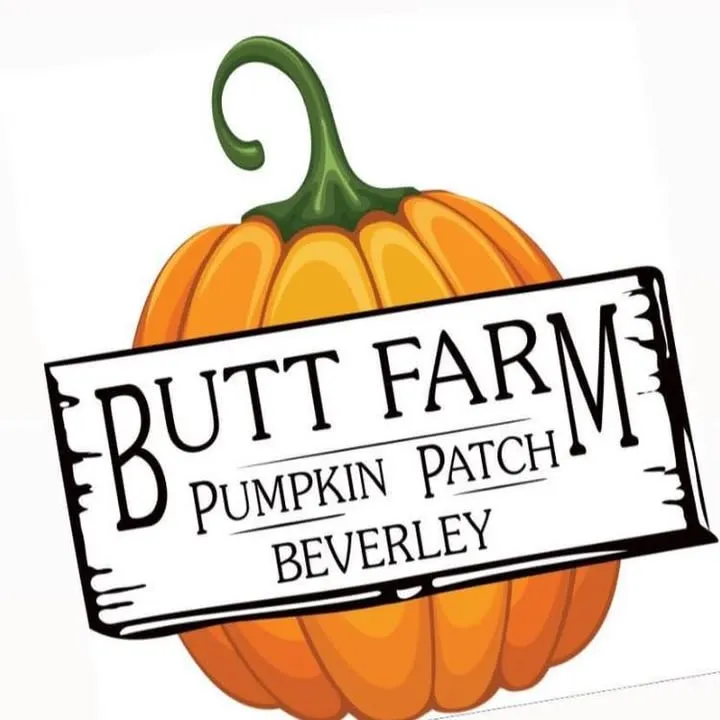 Children picking pumpkins in the field at Butt Farm Pumpkin Patch near Beverley