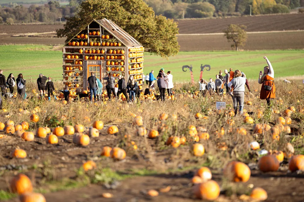 Farmer Copleys Pumpkin Festival