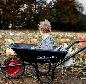 The Flower Belt Pumpkin Patch Helmsley