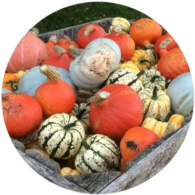 Spilmans Pumpkin Festival