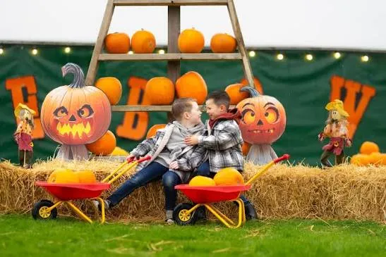 Families enjoying the pumpkin patch and Halloween decorations at The Web Adventure Park in York
