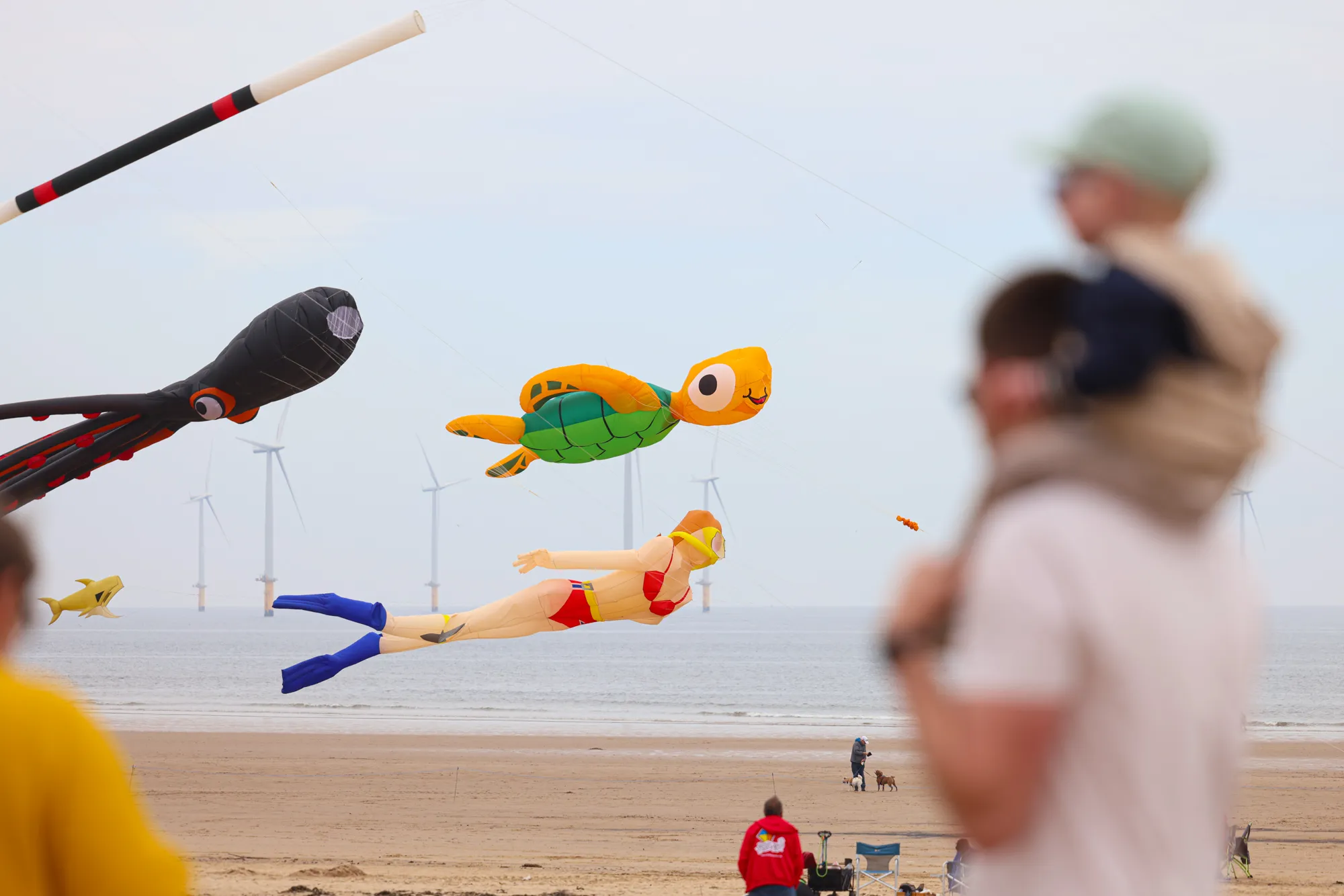 child on a mans shoulders watching kites on the beach at redcar kite festival