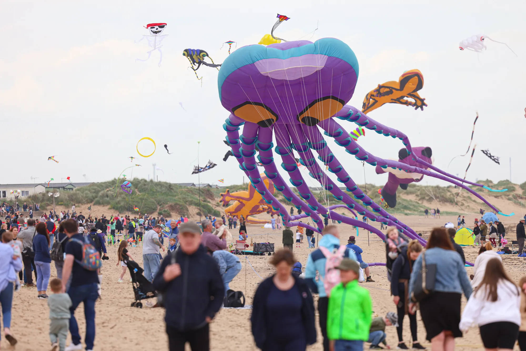 purple octopus kite flying over peoples heads on the beach at Redcar Kite Festival