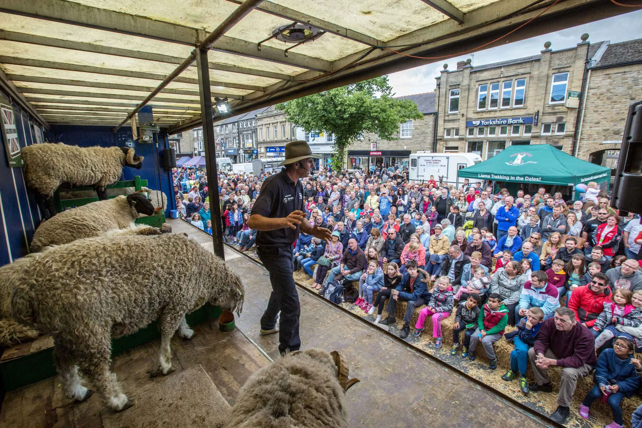 Poster for Skipton Sheep Day, family fun event in Skipton in June.