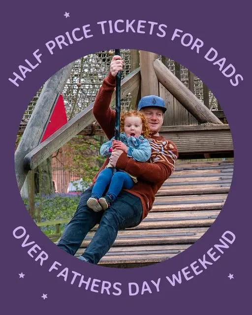 Dad and child on azip line at Stockeld Park fathers day half price event.
