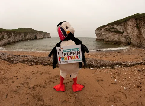 person in a puffin costume holding a sign saying puffin Festival on the beach at Flamborough Cliffs in East Yorkshire.