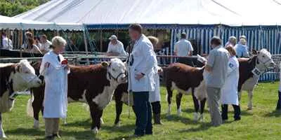 Otley Country Show event in May 2026