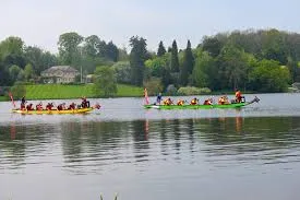 Two dragonboat teams racing.