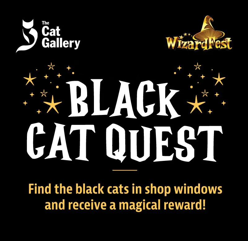 Black Cat Quest free family trail at Wizardfest in York during may half term