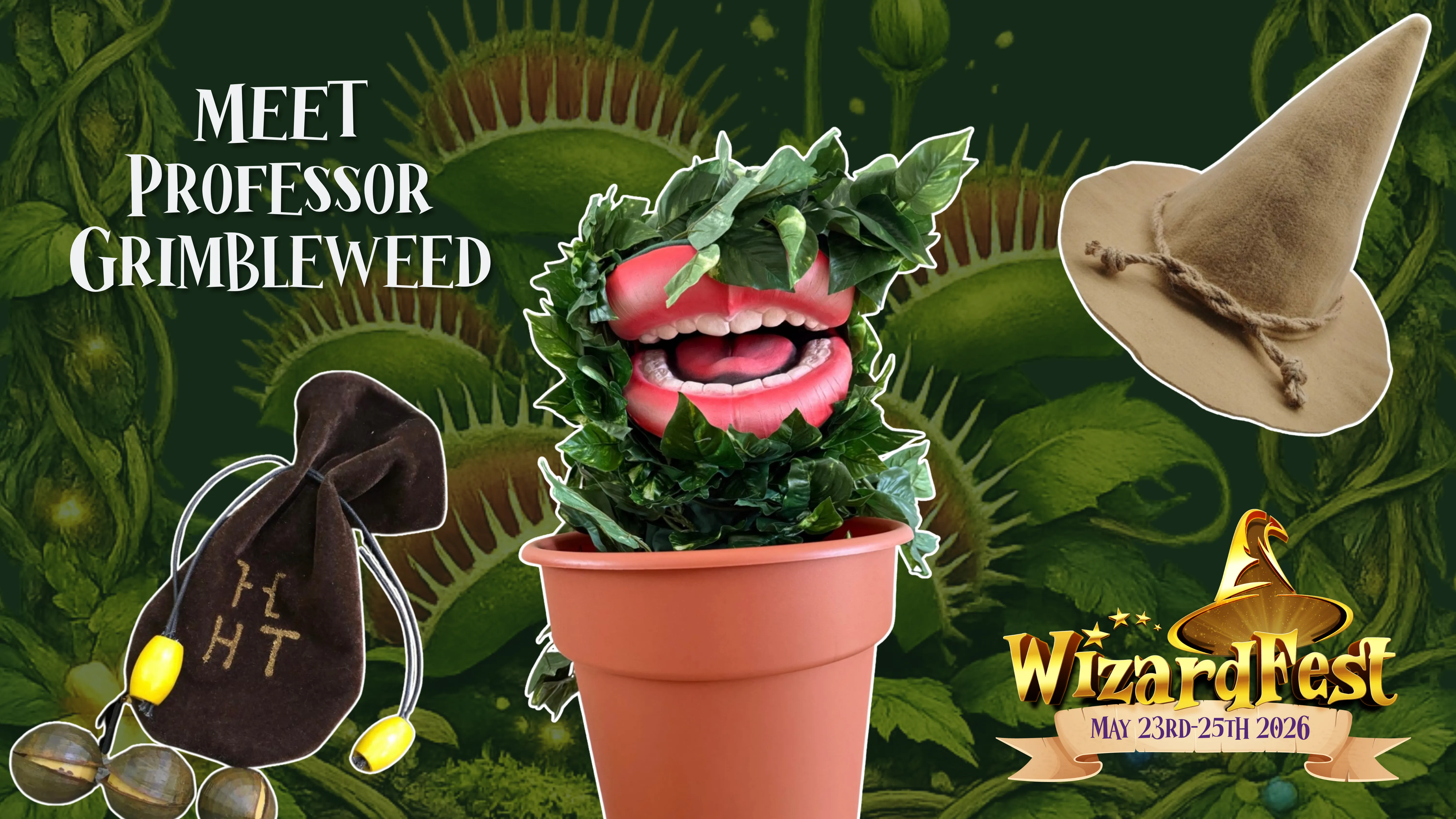 Black Cat Quest free family trail at Wizardfest in York during may half term