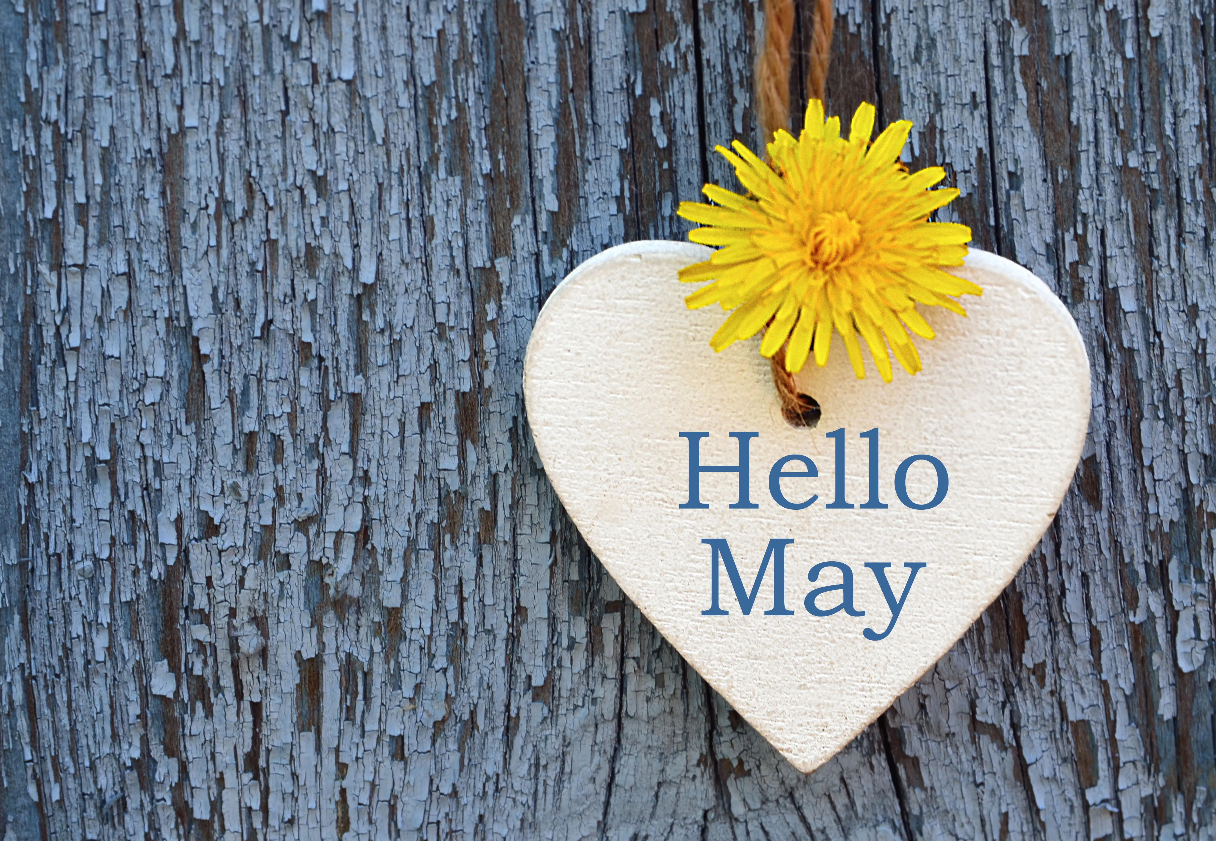 May what's on guide for Yorkshire