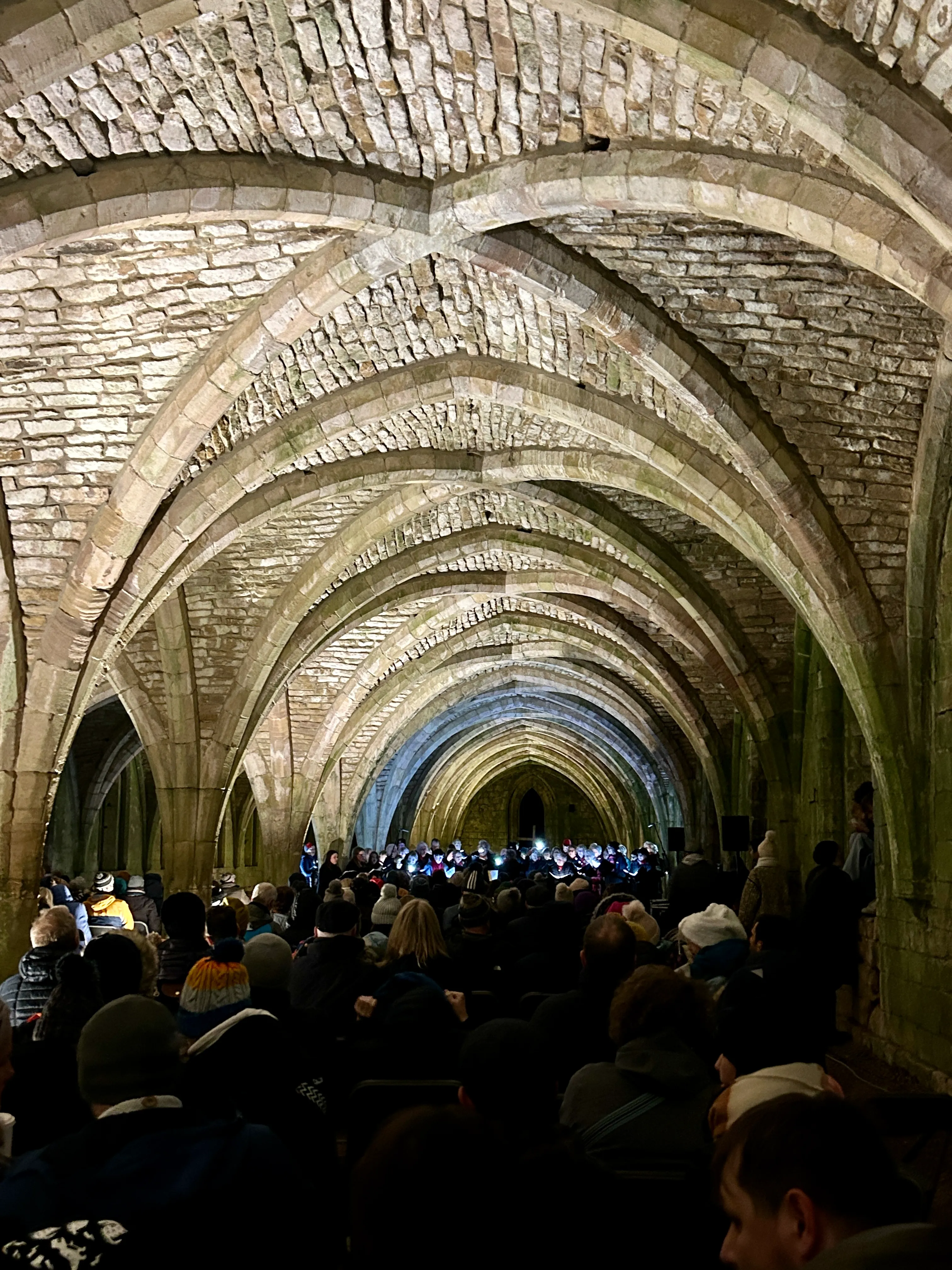 The vaulted Cellarium illuminated with warm lighting during Fountains by Floodlight