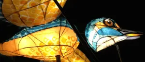 Illuminated wildlife lantern sculpture lit up after dark at RSPB Old Moor nature reserve