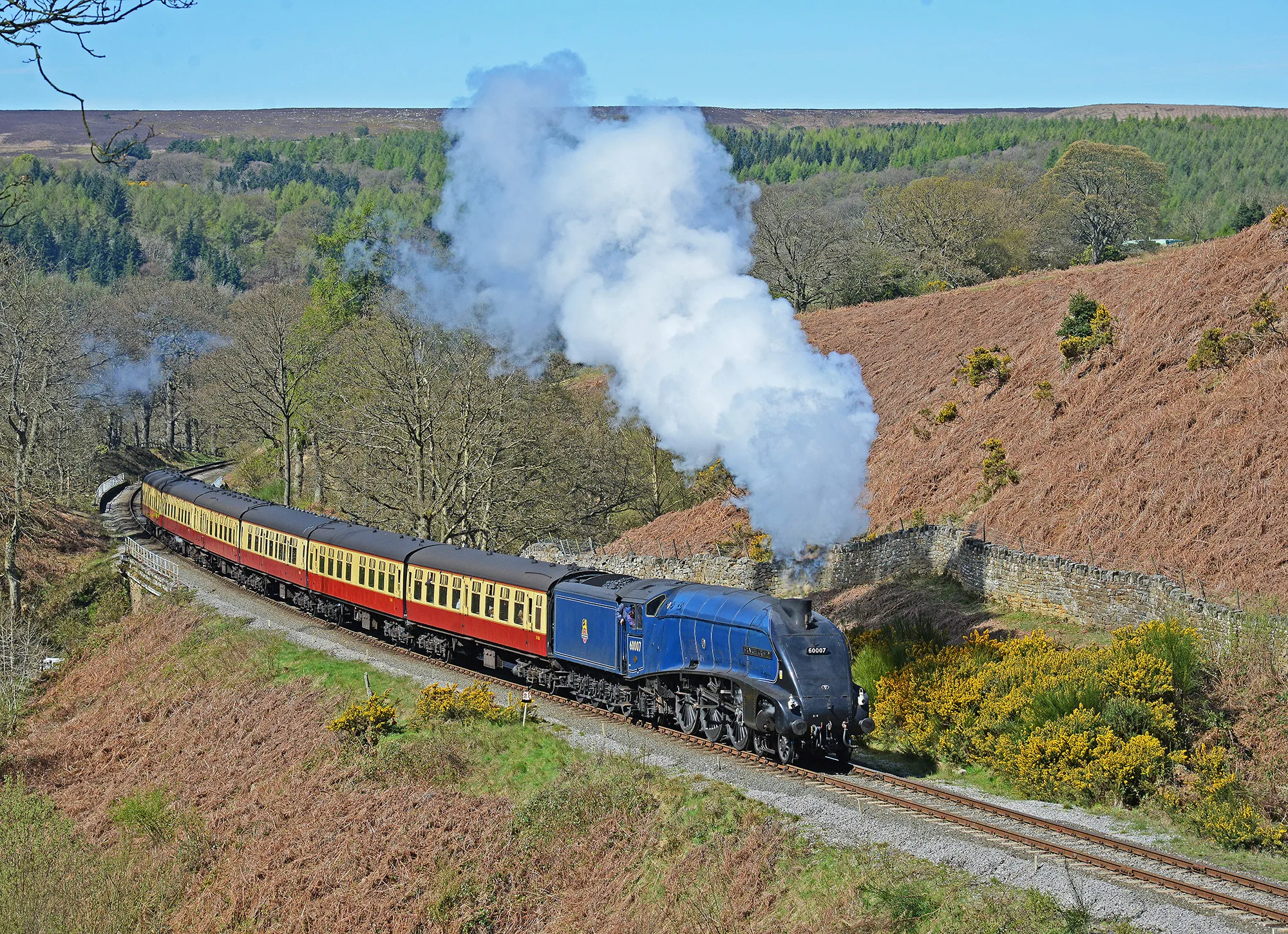 Sir Nigel Gresley locomotive travelling on the North Yorkshire Moors Railway with moorland in the backgrouns, part of the Sir Nigel Gresley: The Legend Returns evnt in September and October 2026