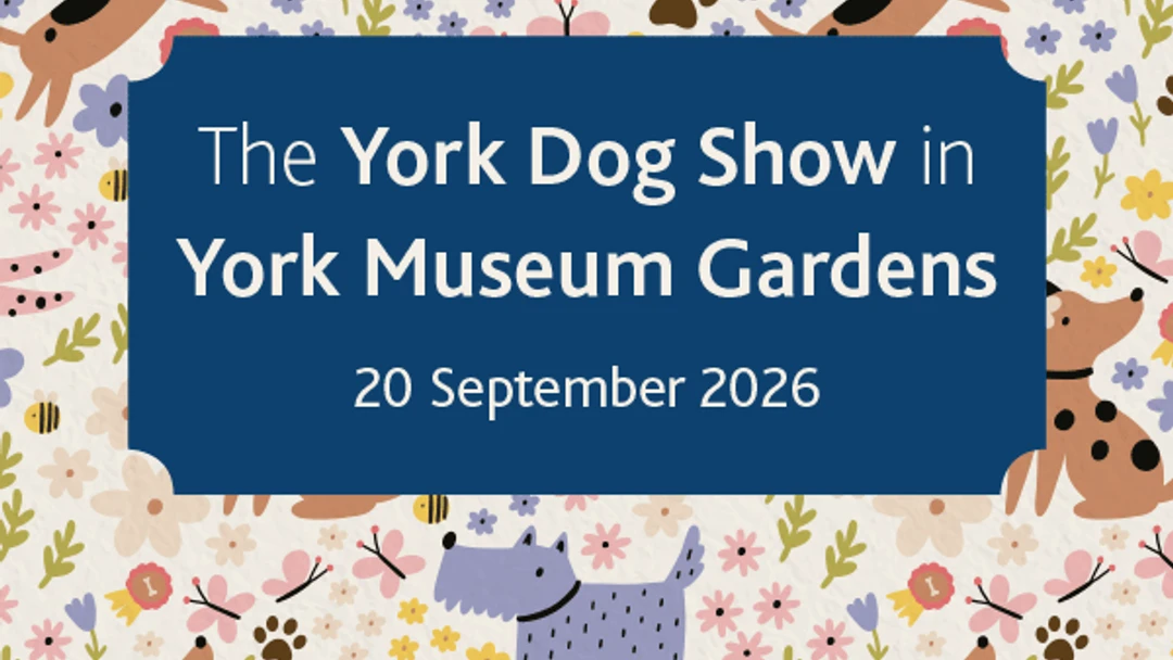 York Dog Show graphic- background print with lots of dogs on and tex with the name and date of the event.