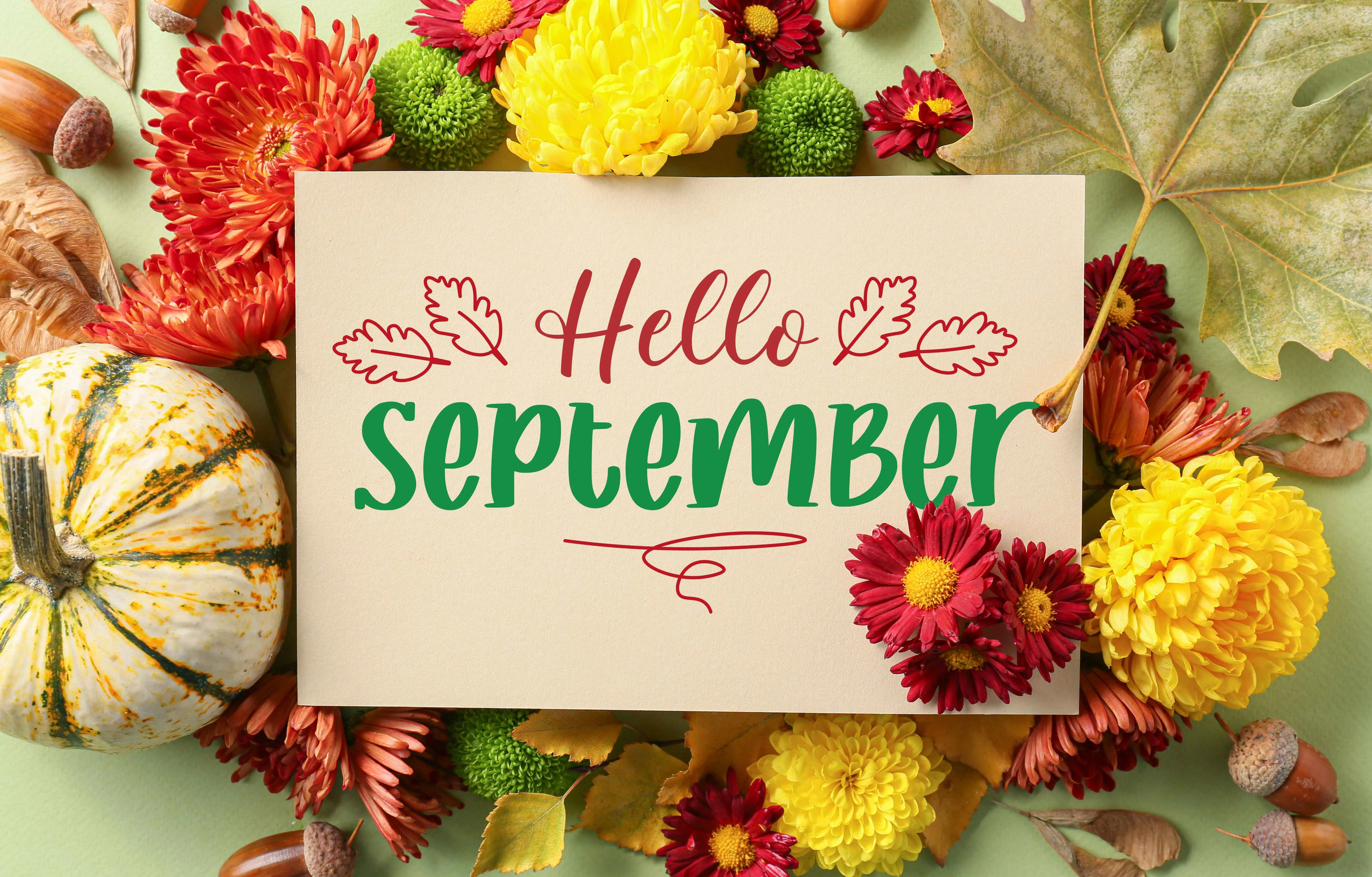 Whats On in September in Yorkshire