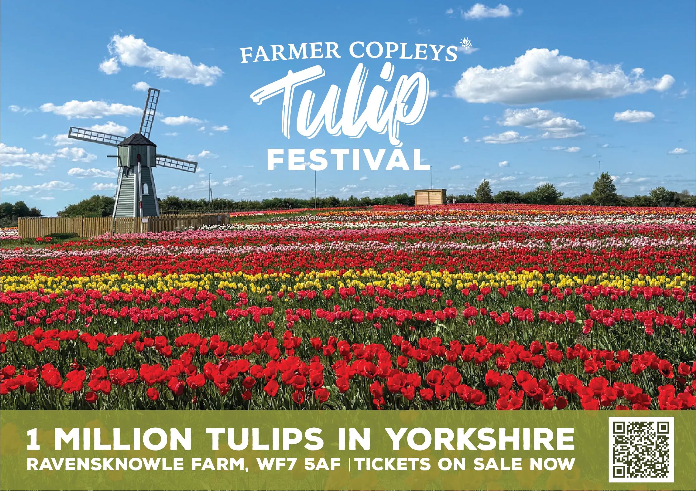 Tulip Festival at Farmer Copleys taking place in April and May each year.