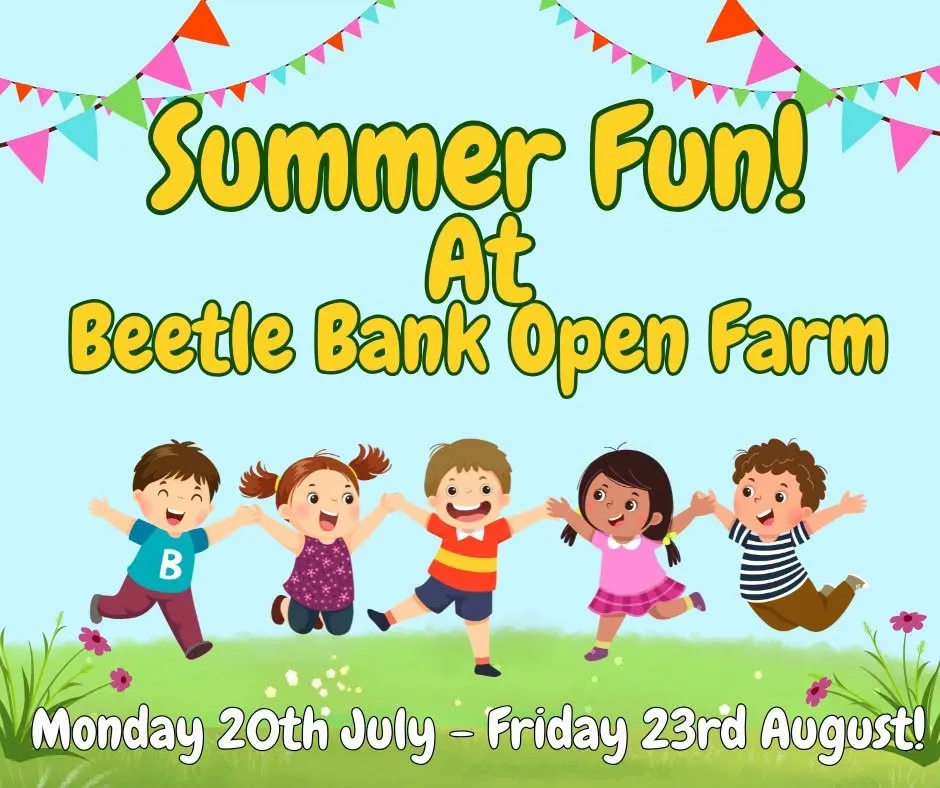 graphic with children holding hands and jumping for joy and grass with bue sky background and details of the Beetle Bank Summer holiday event in York. 