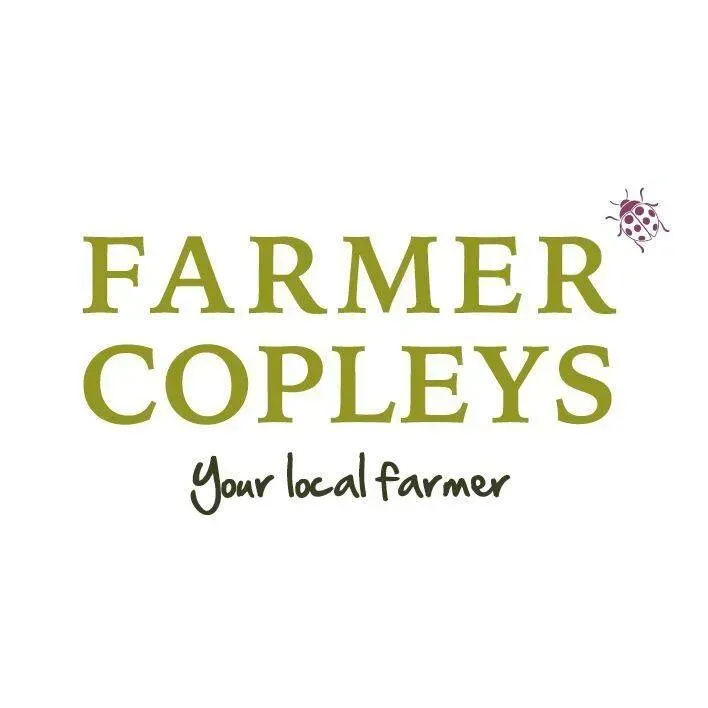 Farmer Copleys multi-variety sunflower field
