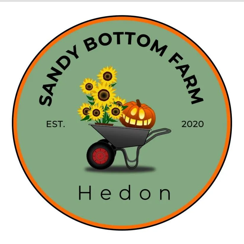 Sandy Bottom Farm logo, Sunflower picking field in Hedon, East Yorkshire