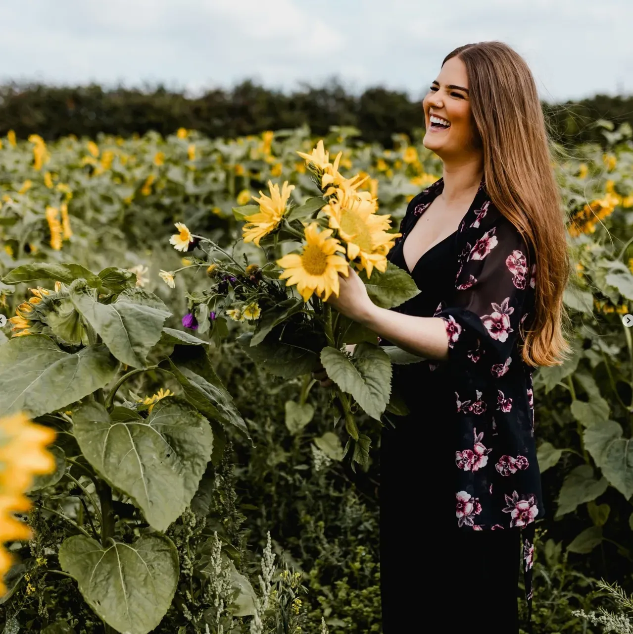 Tickton farm sunflower field with a lady enjoying the flowers