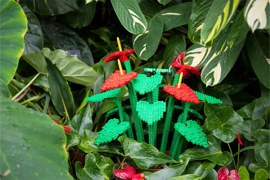 LEgo flowers poking through natural foliage at RHS HArlow Carr garden summer brick explorers trail