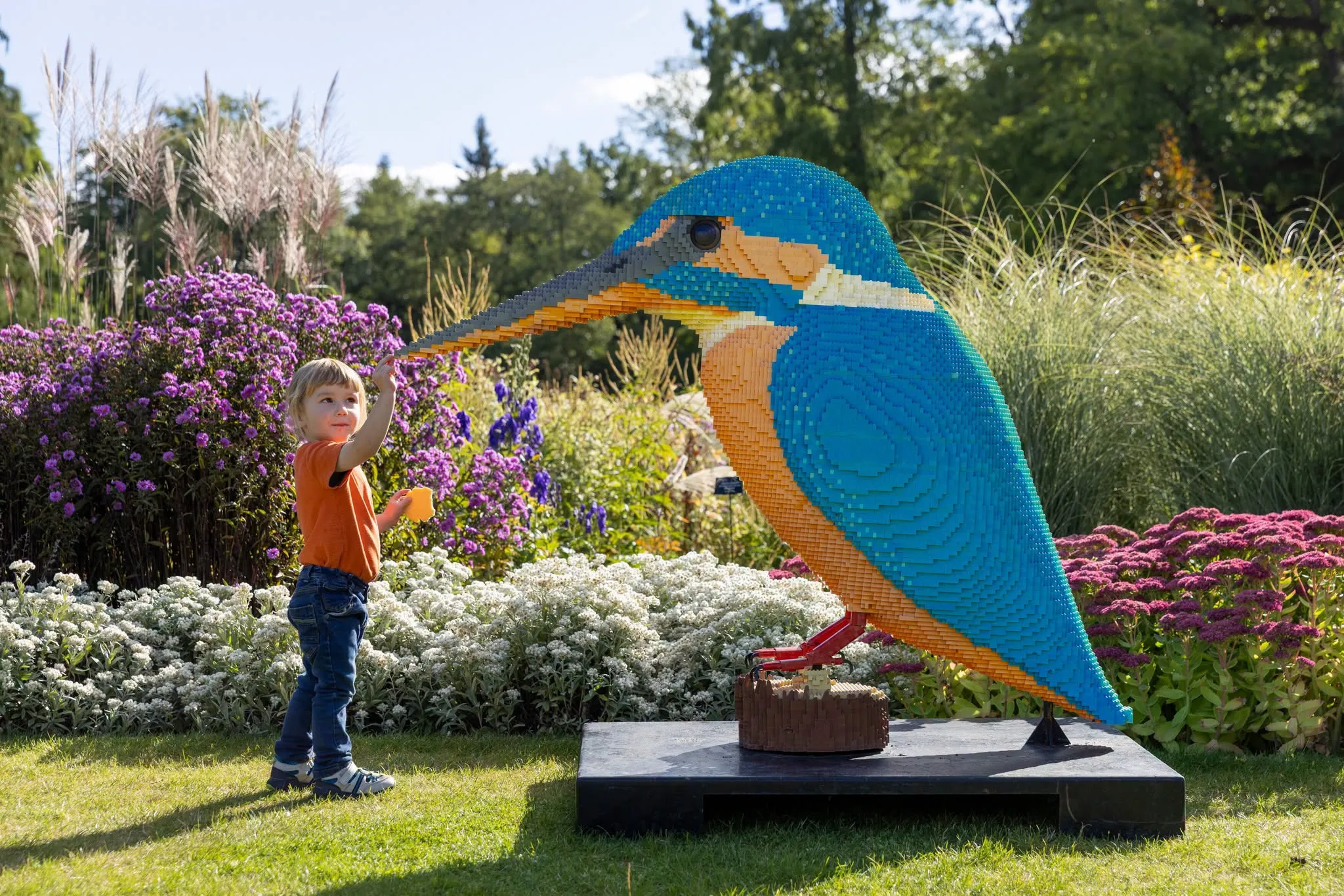 Child in front of a large kingfisher made of lego in the gardens at RHS Harlow Carr.