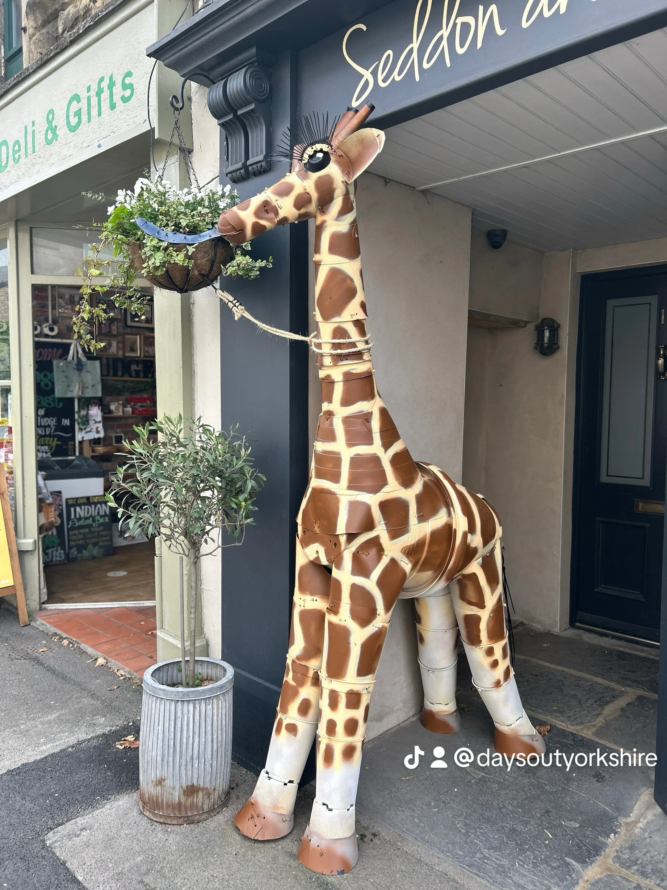 Almost lifesize giraffe made of flowerpots at the Settle Plowerpot Festival in the Yorkshire Dales