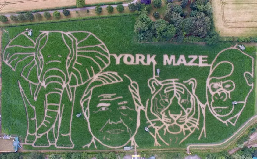 2026 David Attenborough and wildlife design at York Maze..