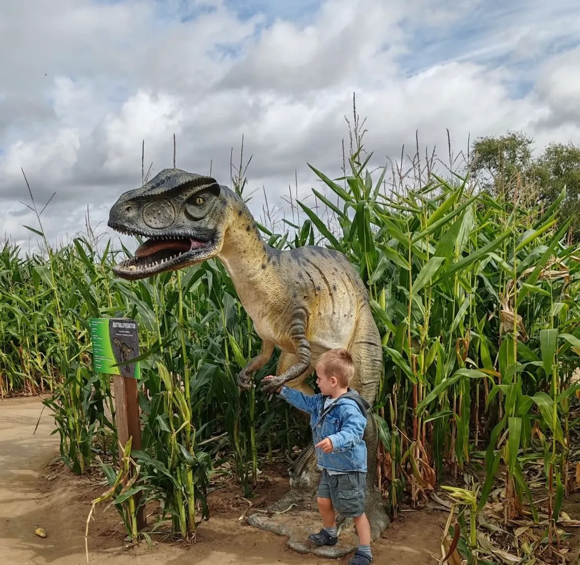 dinosaur maze at York MAze