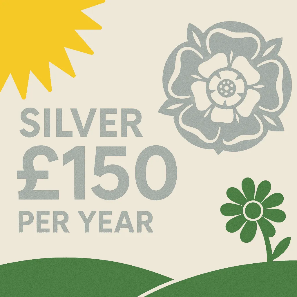Graphic yellow sun, silver rose and tex, green flower