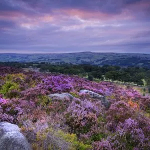 Halifax Norland Moors.